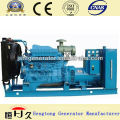 Paou 300kw Diesel Generator Set